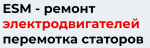 Логотип cервисного центра ЭлектроСервисМотор