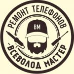 Логотип сервисного центра Всеволод мастер